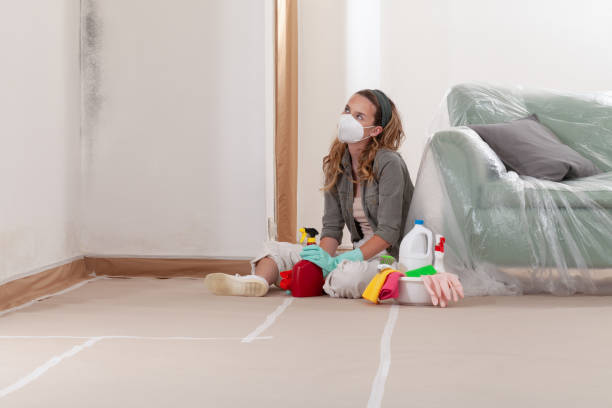 Reliable Mold Remediation contractor in Spring Hill, TN by WQB Mold Removal